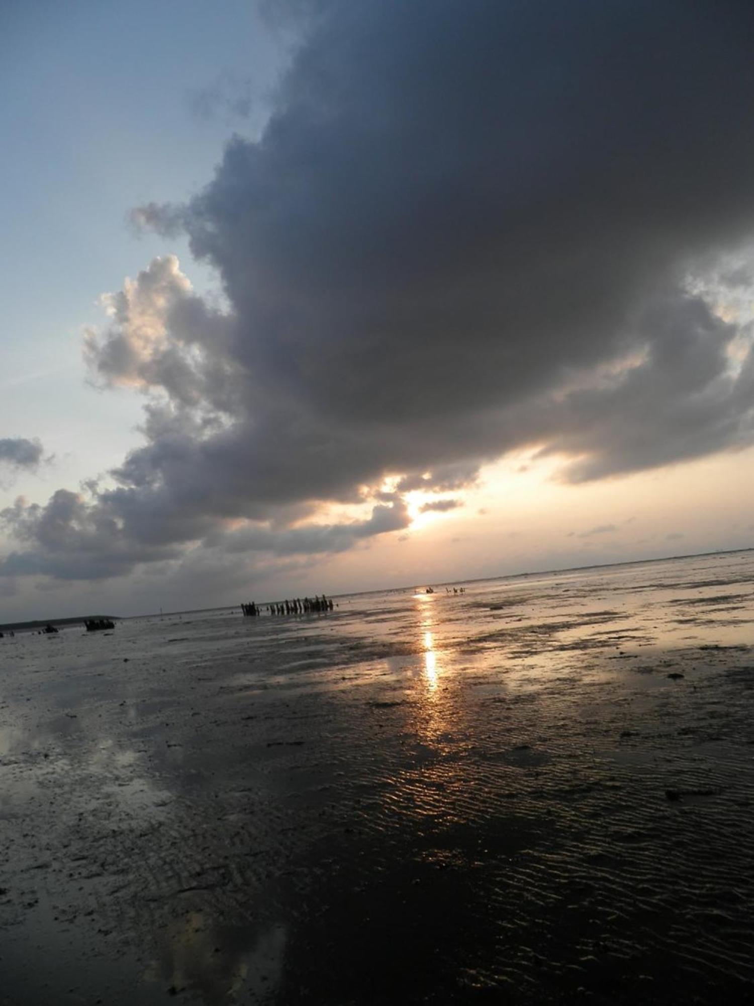 4Pers House Christine W Sauna, Winter Garden & Fishing Pier Anjum エクステリア 写真